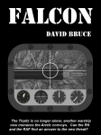 Falcon by David Bruce
